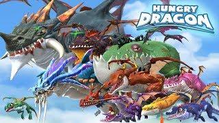 ALL DRAGONS + TIPS & STRATEGIES - Hungry Dragon | GamePlay | HD