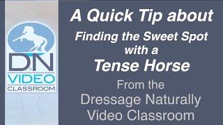 Dressage Naturally video Clip Sweet Spot with a Tense Horse