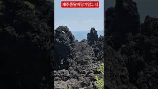 #제주 종달해안 자연바위불턱#2025/5/25#