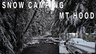 Snow Camping Mt Hood