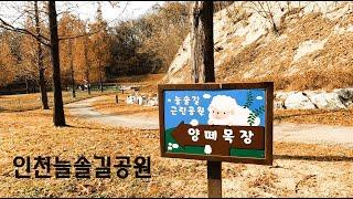 인천 늘솔길공원과 청년미디어 타워(2023-12-08)