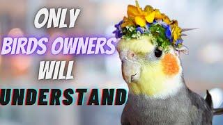 7 Things only Birds Owners Will Understand