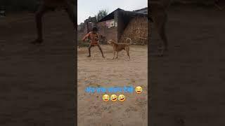 #SHORTS #FUN WITH DOG VIRAL MADE