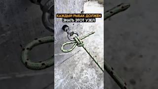 КАЖДЫЙ рыбак ДОЛЖЕН знать этот УЗЕЛ #fishing #карась #рыбалка