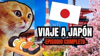 VIAJE A JAPÓN, episodio completo (meme de gatos)