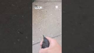 Man Saves Bird From Hail Storm