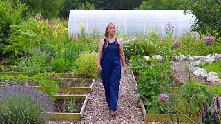 The Garden in July  Garden Tour, Propagating Lavender, and Planting Berry Bushes