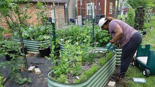 Adding drip irrigation to my new raised beds