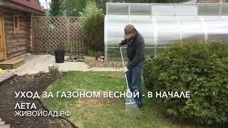 Уход за газоном весной и в начале лета