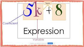 Identify Parts of an Expression