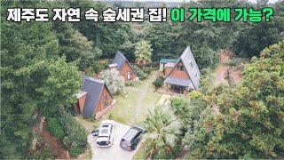 제주도 알프스 캠핑 컨셉 자연과 함께하는 힐링라이프! 제주 숲세권 주택 매매!