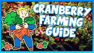 How to get CRANBERRIES and DISEASED CRANBERRIES in FALLOUT 76 | Cranberry Farming Guide