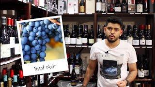 Basics about Pinot Noir Wine | Prenzel of Whitford |