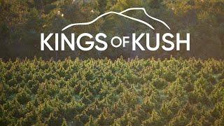 KINGS of KUSH | NEW VICE TV SERIES PROMO