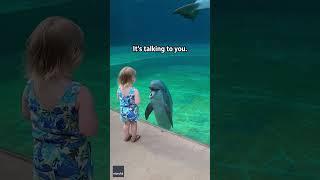 Little girl and super social dolphin stop to have a sweet chat | Humankind #shorts #goodnews