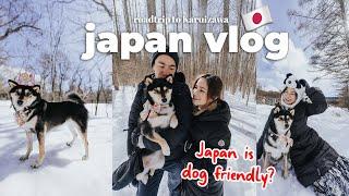  Is Japan Dog Friendly?   We took our Shiba on a road trip to Karuizawa | Japan lifestyle vlog