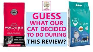 Van Cat litter review with unexpected interruption!