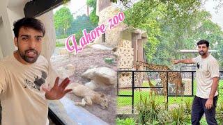 Lahore Zoo Mey First Time Giraffe Dekha  Bohat Acha Lga