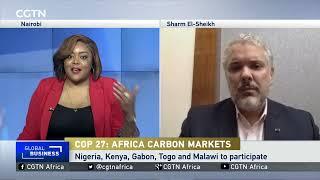 Africa carbon markets initiative launched at COP27