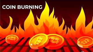 What is Coin (Token) Burning? & How it is done (Animated)