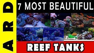 7 Most beautiful reef tanks on youtube