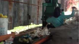 PLASTIC WASTE SORTING LINE