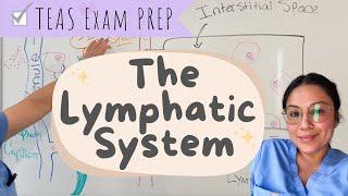 The lymphatic System (part 2 of the immune system) TEAS exam 7