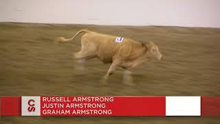 BC brothers capture Open Class - Team Cattle Penning win at the Calgary Stampede