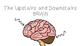 Upstairs Brain Downstairs Brain - SEL Sketches