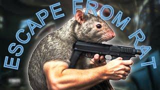 Tarkov explained in Rat