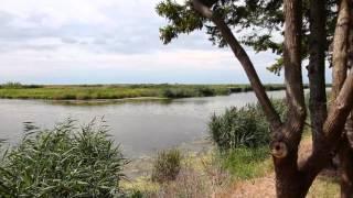 Sebewaing County Park, Huron County Michigan