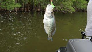 Fishing At Horseshoe Lake