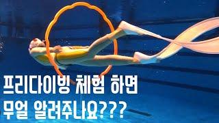 프리다이빙 체험 하면 뭘 배울까??