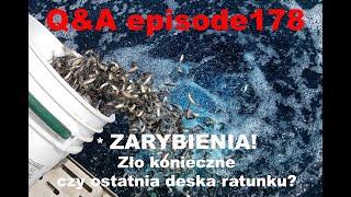 Q&A odcinek 178 - Jak zarybienia wpływają na rodzime populacje ryb?