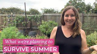 What we're planting to survive summer in the subtropics