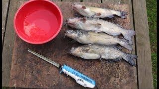 How To FILLET a CATFISH! Super QUICK & EASY!!!!