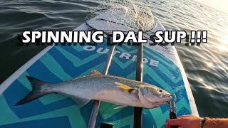 ADRENALINA dal SUP Spinning all'alba - SUP fishing adrenaline