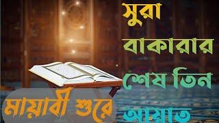 সুরা বাকারার শেষ তিন আয়াত বা লাস্ট রুকু / surah Bakarah last 3 aayat./