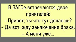 Свадьба.Тамада Взял Две Банки...Большой Сборник Смешных Анекдотов,Для Супер Настроения!