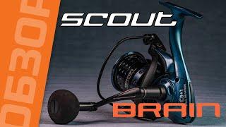 Обзор катушки Brain Scout