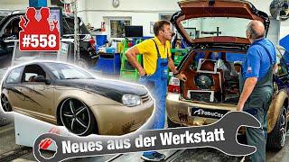 Golf IV für 70.000€ getuned!  Luftfederung hinüber?? Ein Fall für die TUNING-Docs! 