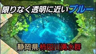 【柿田川湧水群】静岡県で富士山の中を通って湧き出る水の美しさに吸い込まれた！