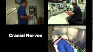 Neurological Assessment of a diver - IMCA D036