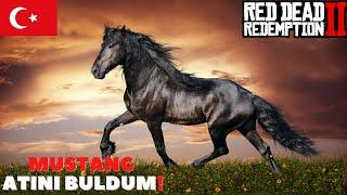 RDR2| Red Dead Redemption 2  Mustang Atını buldum  Az daha ölüyordu![MUSTANG HORSE]