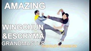 People are awesome 2017 real wing chun and escryma grandmaster