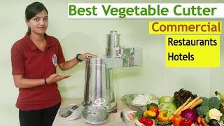 Best Vegetable Cutter for Restaurant and hotel - 7363940757 / 6294978009