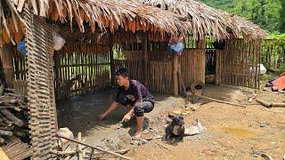 Transport sand to make kitchen foundation, clean up the small shack, raise pigs and chickens.