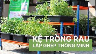 Kệ trồng rau lắp ghép thông minh - Vườn Sài Gòn