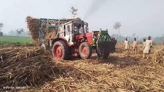 powerfull Tractor Belarus 510 Best performance with loaded sugarcane trailer