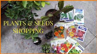 Nursery se plants liye / Plants Haul / Plants bought  from Nursery [ Nature Desires ]